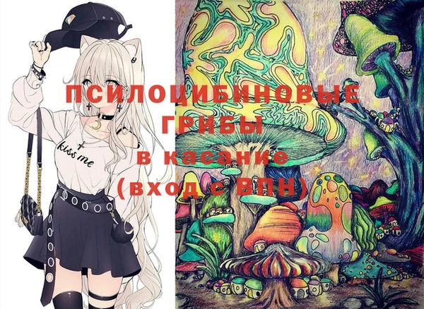 мдпв Надым