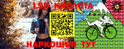 тгк Гатчина