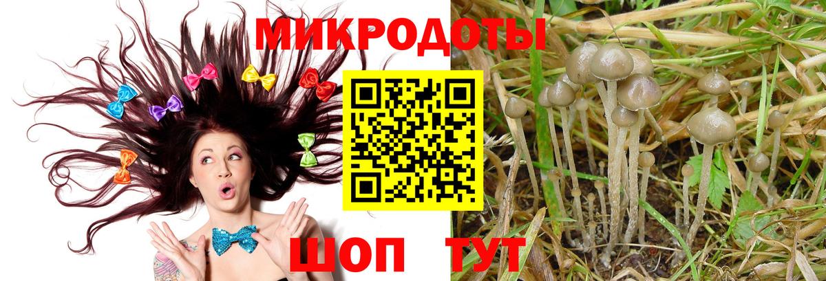 Прохладный  Псилоцибиновые грибы MAGIC MUSHROOMS  Вход с VPN 
