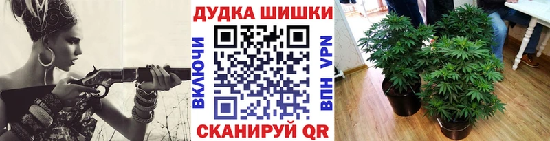 Бошки марихуана планчик  где купить наркотик  Прохладный 